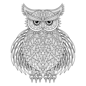 Owl #1